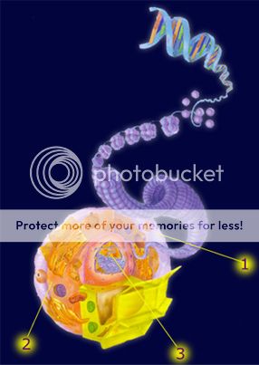 nanoaguja nanoaguja
