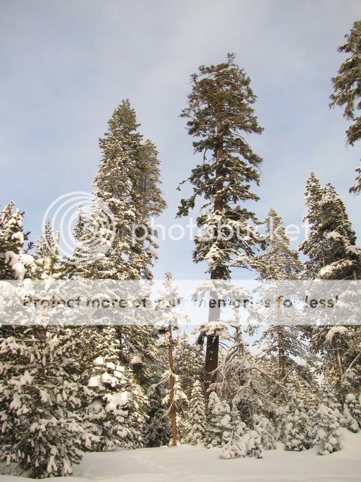 snow