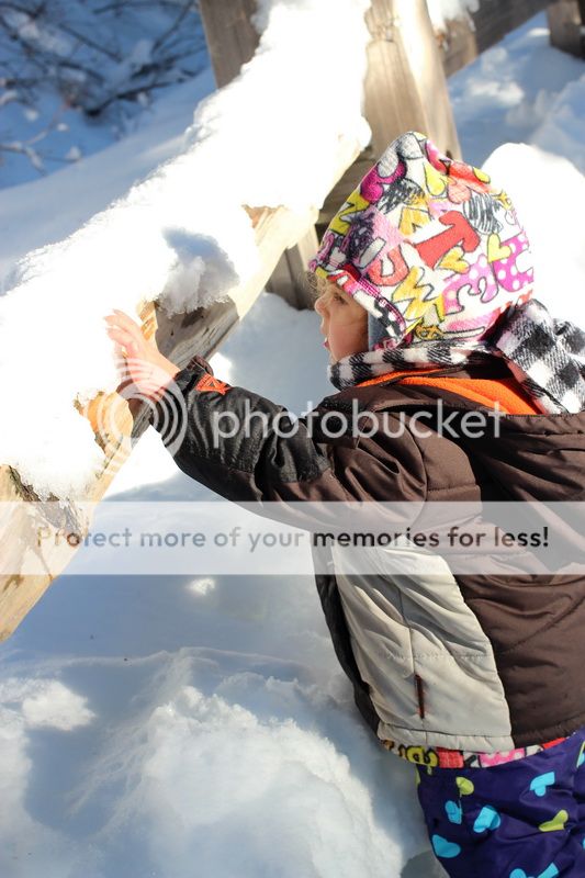  photo big_tree_kids_04_zps3336255d.jpg