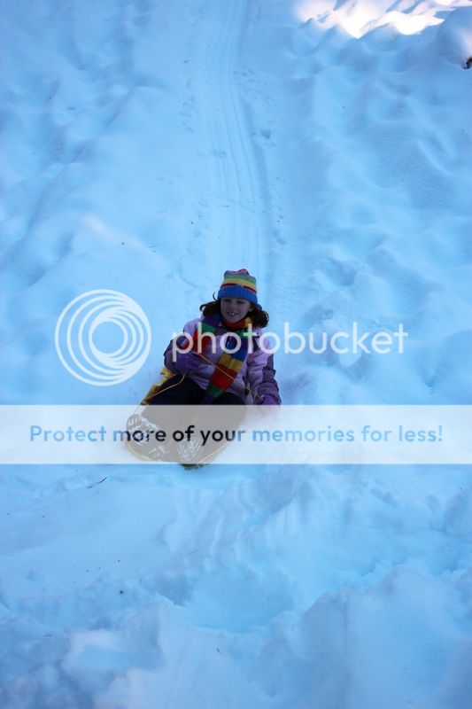  photo big_tree_kids_14_zps1775e6b7.jpg