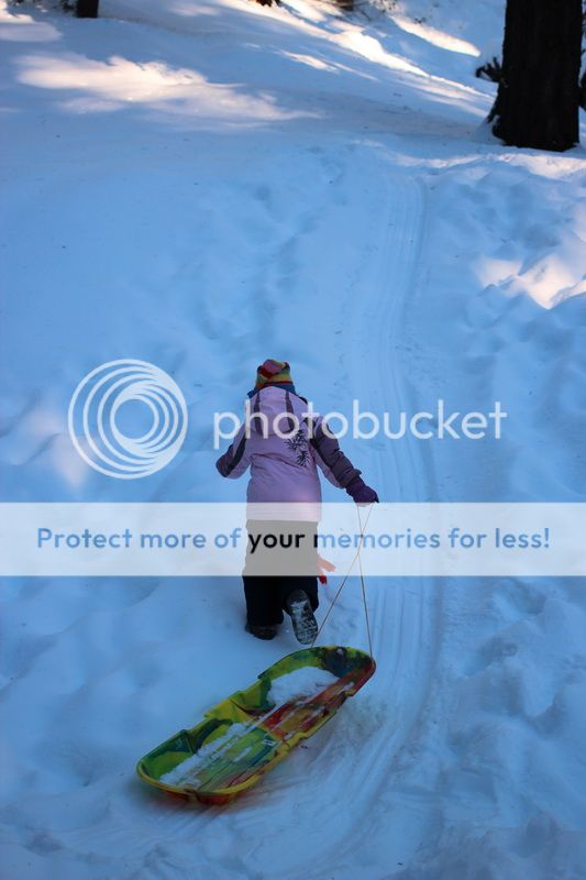  photo big_tree_kids_15_zpsdd579d68.jpg