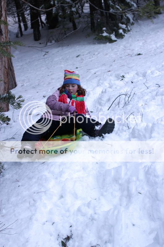  photo big_tree_kids_19_zps132baa69.jpg