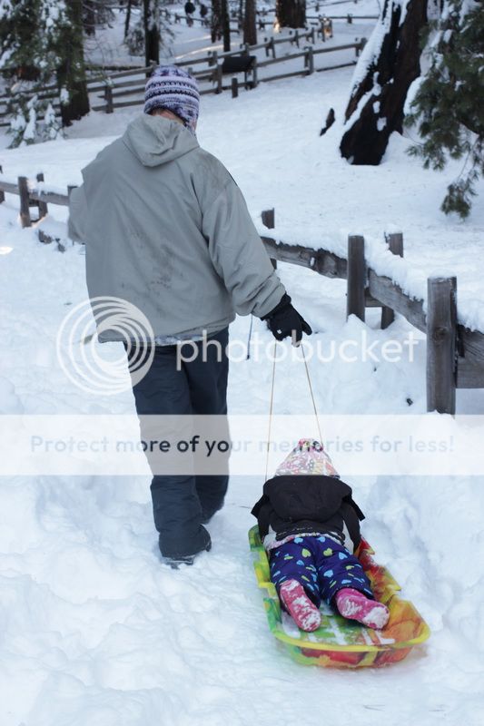  photo big_tree_kids_21_zps6f3aaa6a.jpg