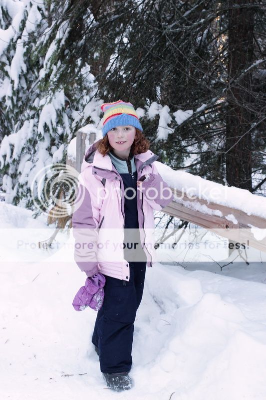  photo big_tree_kids_22_zpse532fee1.jpg