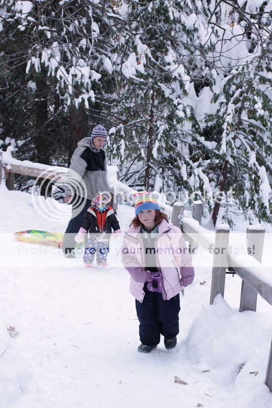  photo big_tree_kids_23_zpsa3f9b223.jpg