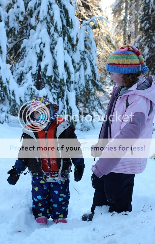  photo big_tree_kids_24_zpse68da6dd.jpg