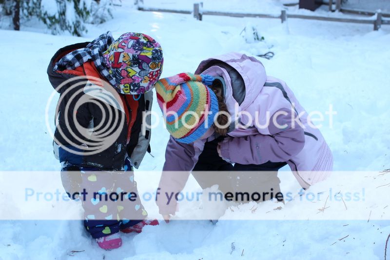  photo big_tree_kids_27_zps24eb83ec.jpg