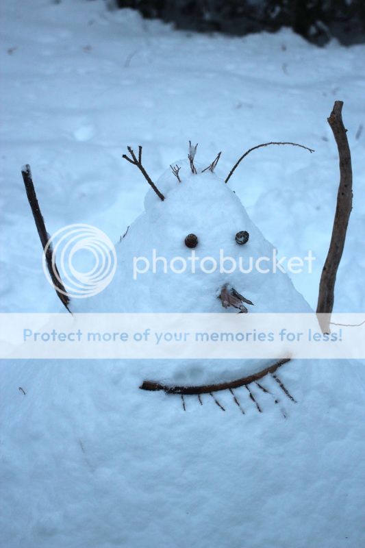  photo big_tree_kids_29_zps99e9a4d8.jpg