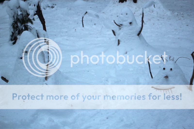  photo big_tree_kids_30_zps3c314d26.jpg