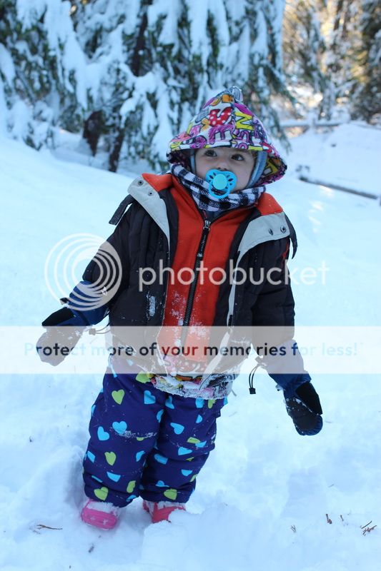  photo big_tree_kids_34_zpsf2ebabe1.jpg