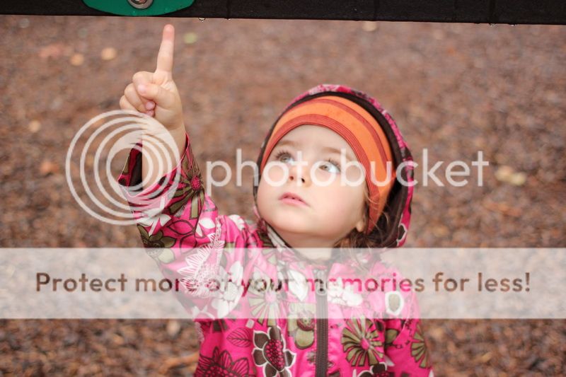  photo rain_drops_02_zpsac89d39b.jpg