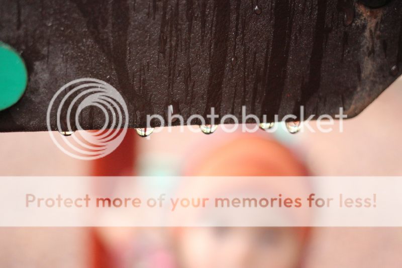  photo rain_drops_03_zps12a7c475.jpg