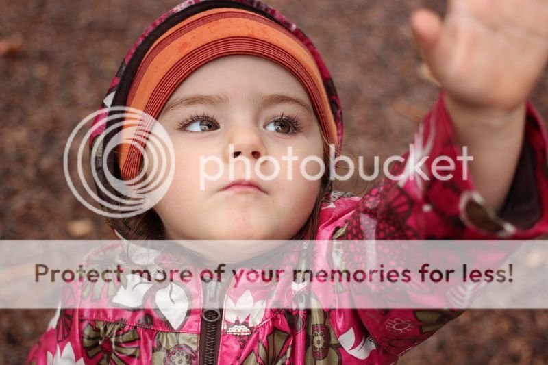  photo rain_drops_04_zpsf46b8865.jpg