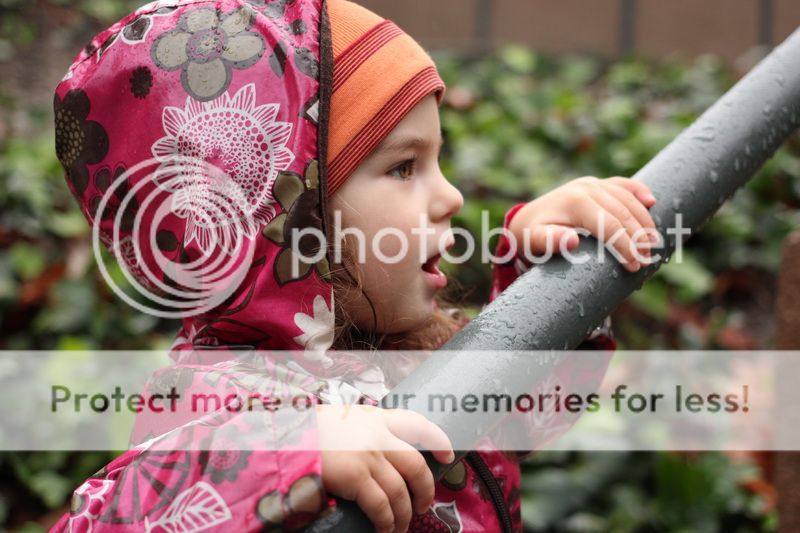  photo rain_drops_06_zps380ef887.jpg