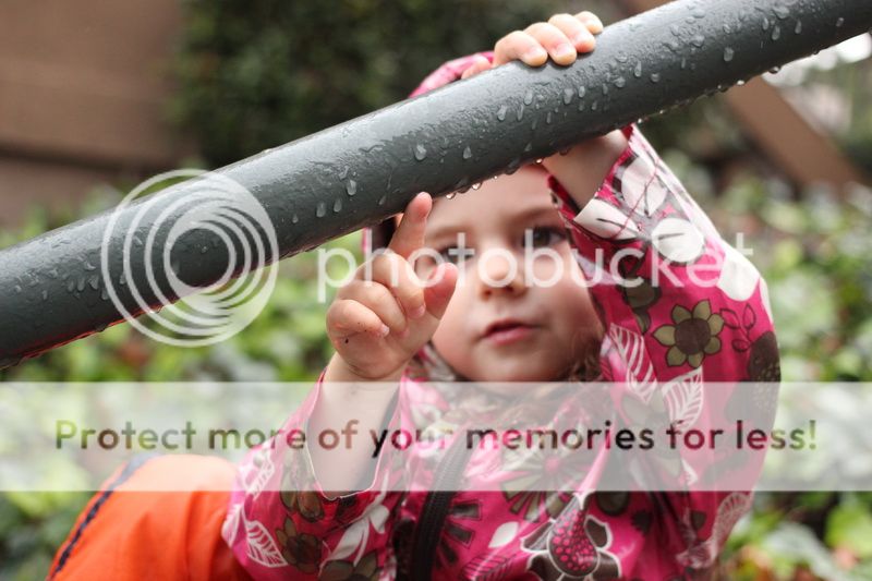  photo rain_drops_08_zps7f67a097.jpg