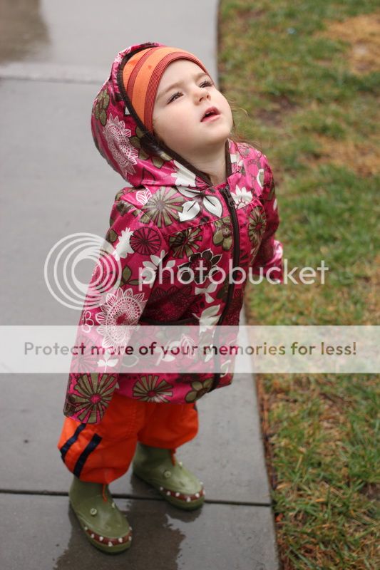  photo stone_04_zps9b7672ff.jpg