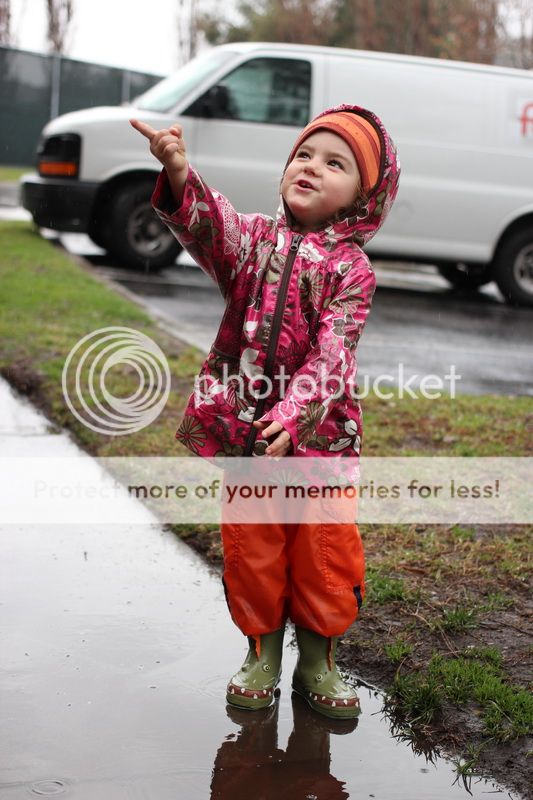  photo stone_05_zps97ccb281.jpg