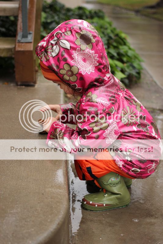  photo stone_06_zpsdbf29cf1.jpg