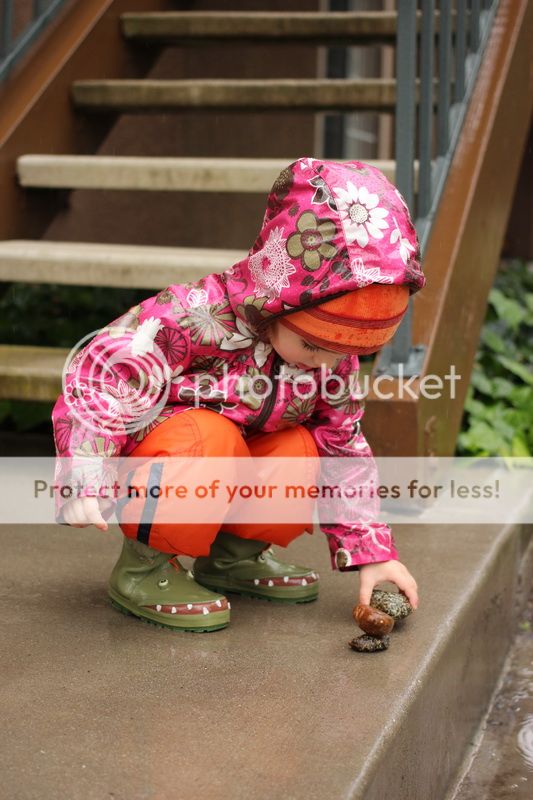  photo stone_07_zps0284c1f6.jpg