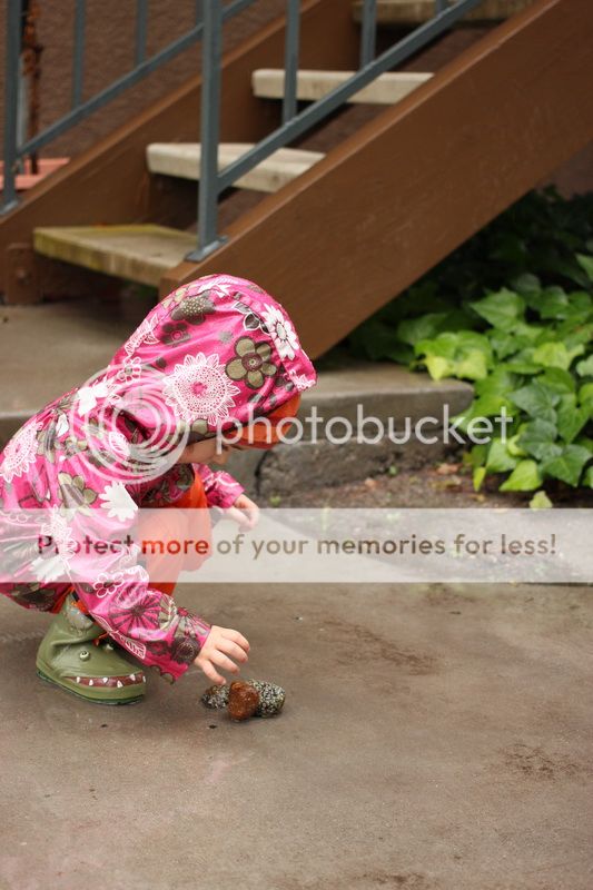  photo stone_09_zps482d1d1d.jpg