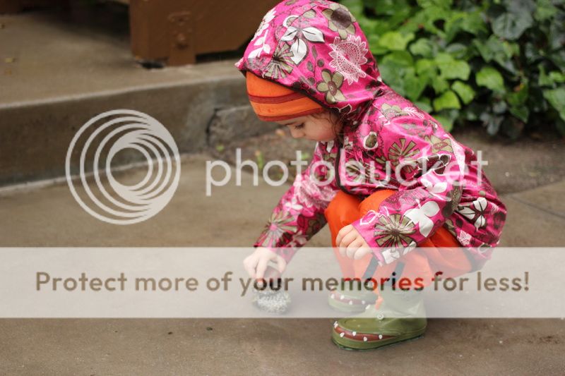  photo stone_10_zpse578d494.jpg