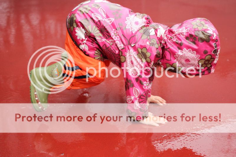  photo stone_14_zps0247a5ce.jpg