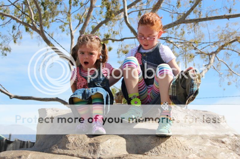  photo 2012_02_15_greatpark_2.jpg