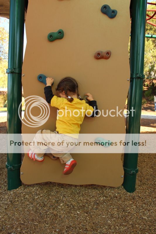  photo 2012_12_11_park_1.jpg