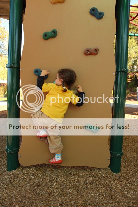  photo 2012_12_11_park_2.jpg