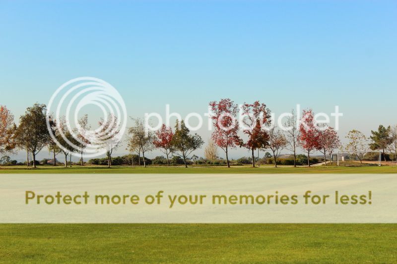  photo 2012_12_11_park_4.jpg