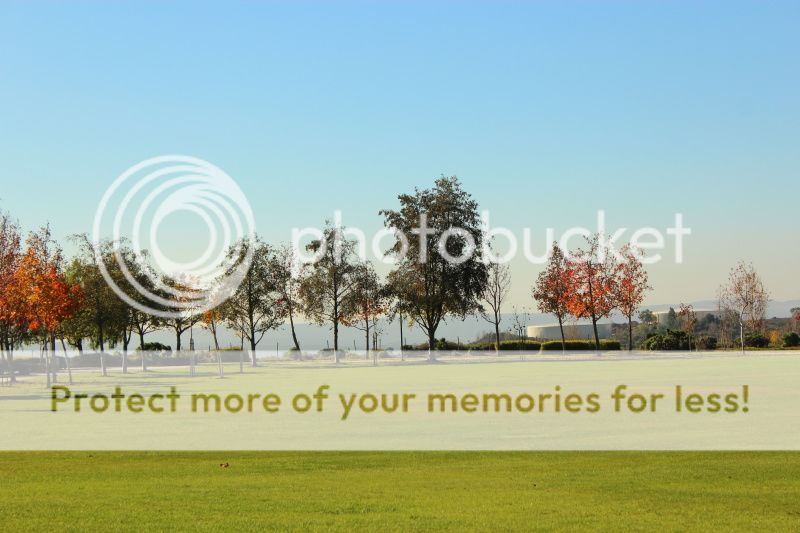  photo 2012_12_11_park_5.jpg