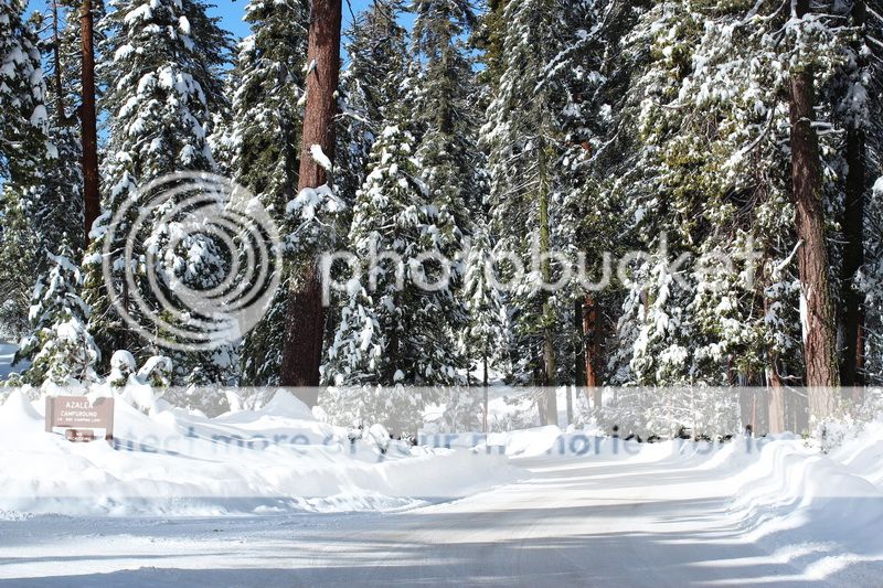  photo kings_canyon_31_12_12_01_zps7676993c.jpg