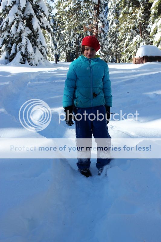 photo mountain_top_01_zps7302ad6c.jpg