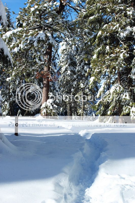  photo mountain_top_03_zps543f42fc.jpg