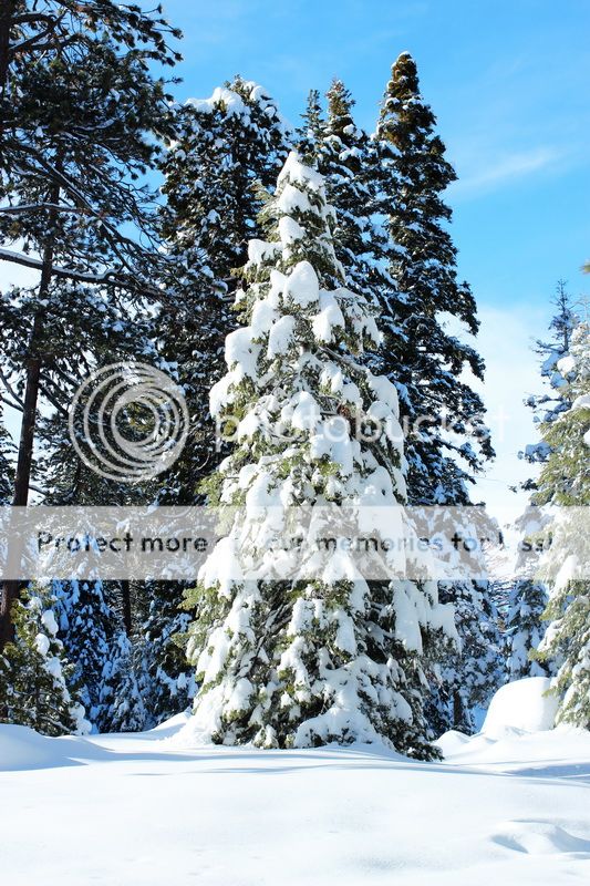  photo mountain_top_04_zps56e956a4.jpg