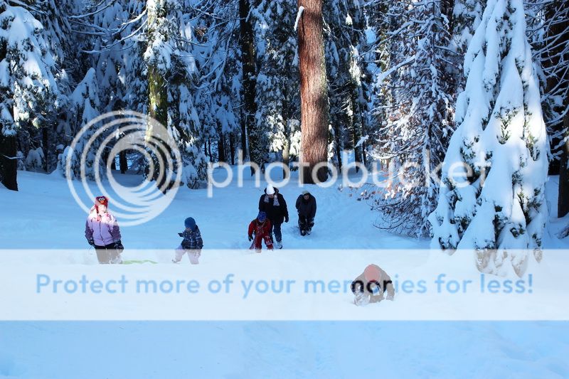  photo mountain_top_11_zpsc6538445.jpg