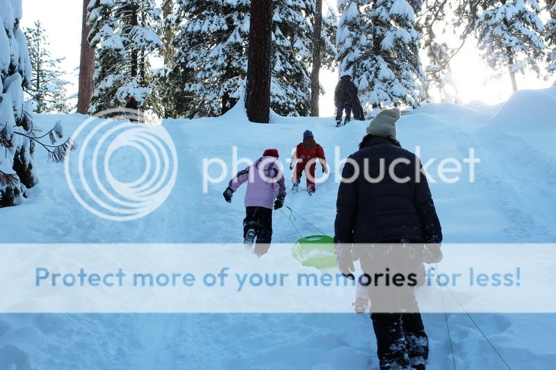  photo mountain_top_12_zpsfa651148.jpg