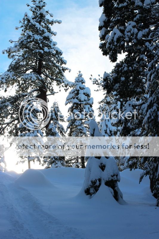  photo mountain_top_13_zpse1910835.jpg