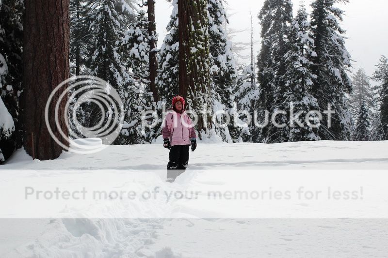  photo mountain_top_15_zps4914d245.jpg