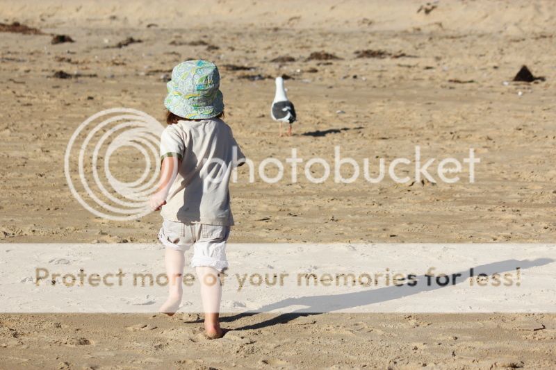  photo IMG_9420.jpg