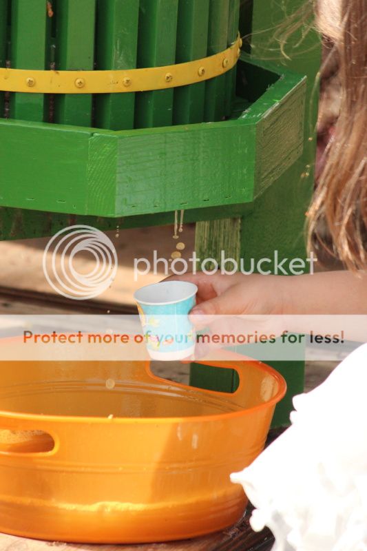  photo 2012_10_21_farm_13_zps71d14e63.jpg