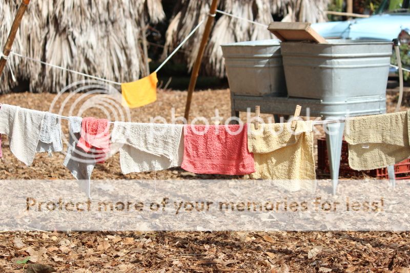  photo 2012_10_21_farm_20_zps33425849.jpg