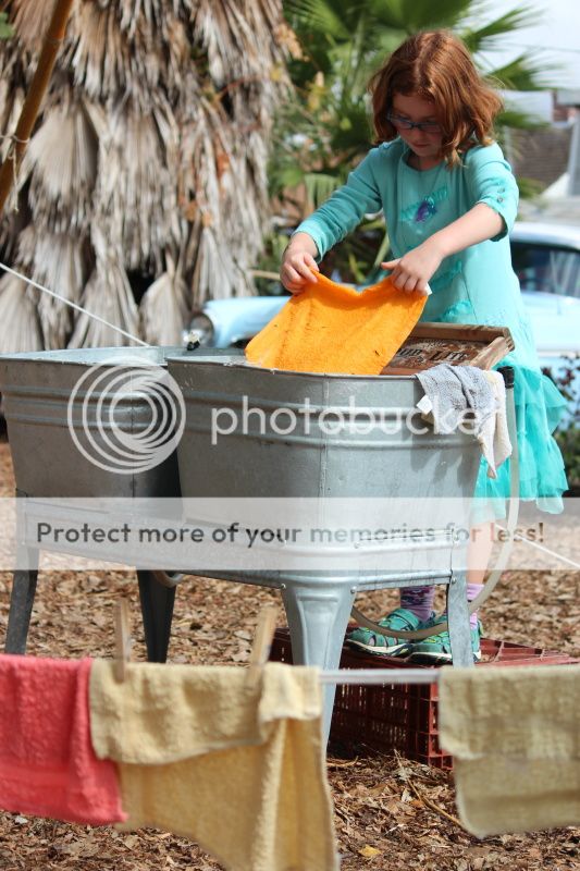  photo 2012_10_21_farm_22_zps9192571c.jpg