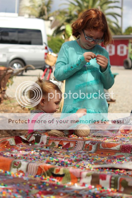  photo 2012_10_21_farm_33_zps6aa1cd93.jpg