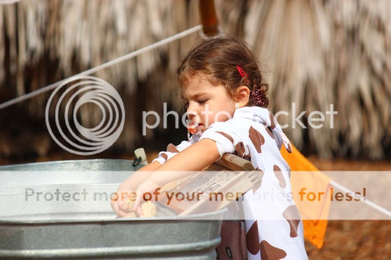  photo 2012_10_21_farm_45_zps4a41c5ea.jpg