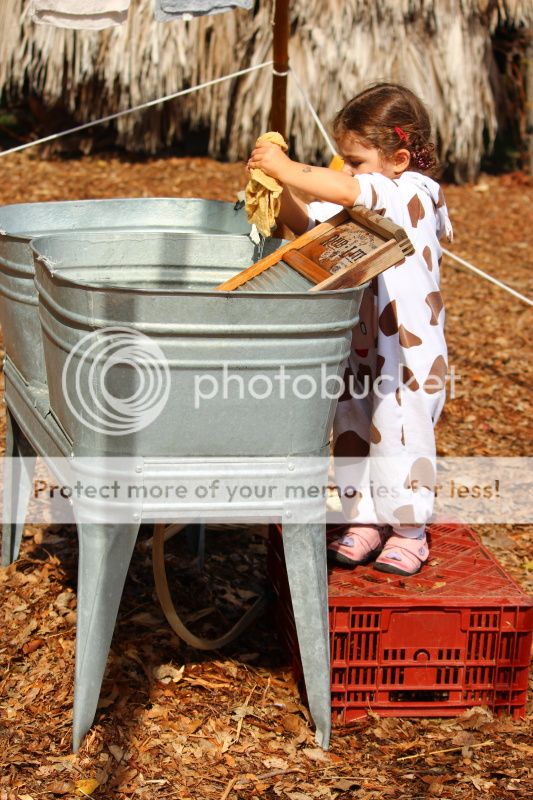  photo 2012_10_21_farm_47_zps1979f0c6.jpg