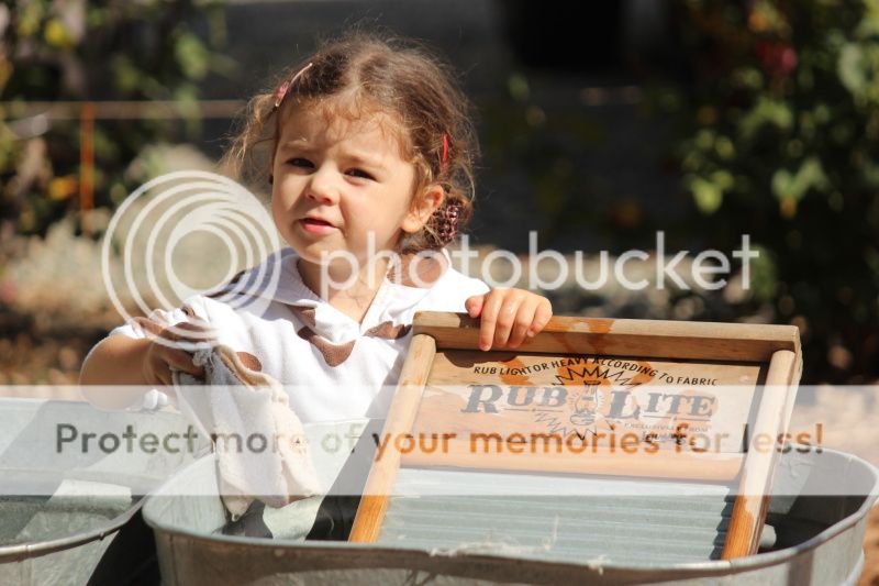  photo 2012_10_21_farm_48_zps10e93b8d.jpg