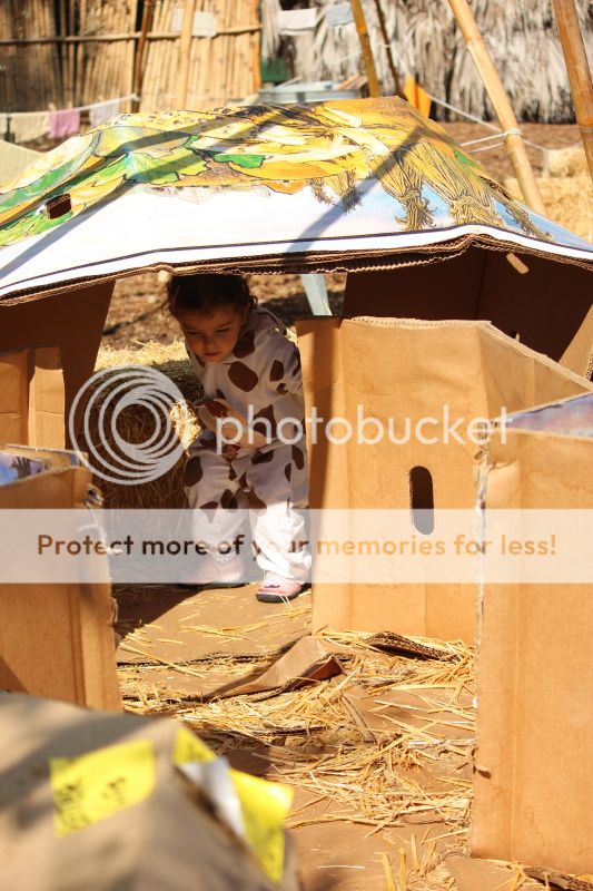  photo 2012_10_21_farm_50_zpsba505271.jpg