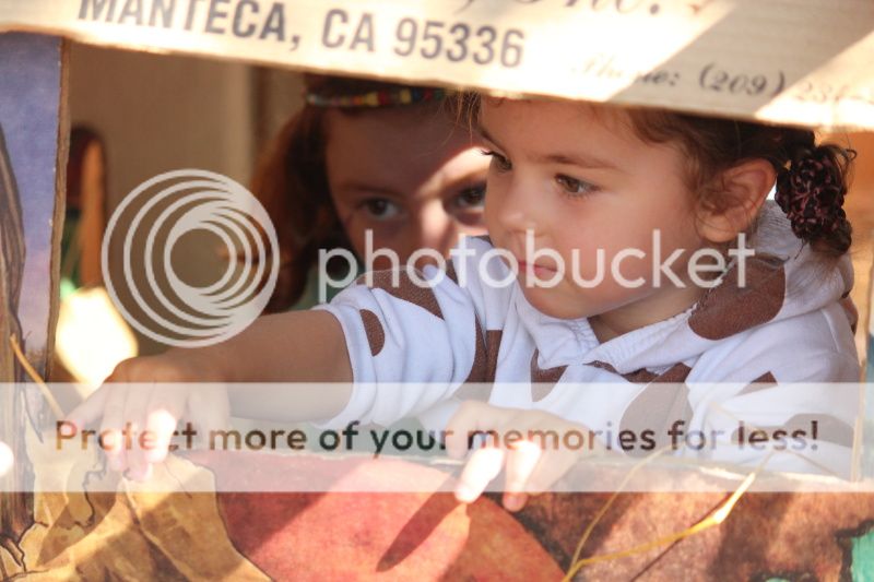  photo 2012_10_21_farm_52_zps6873cf47.jpg