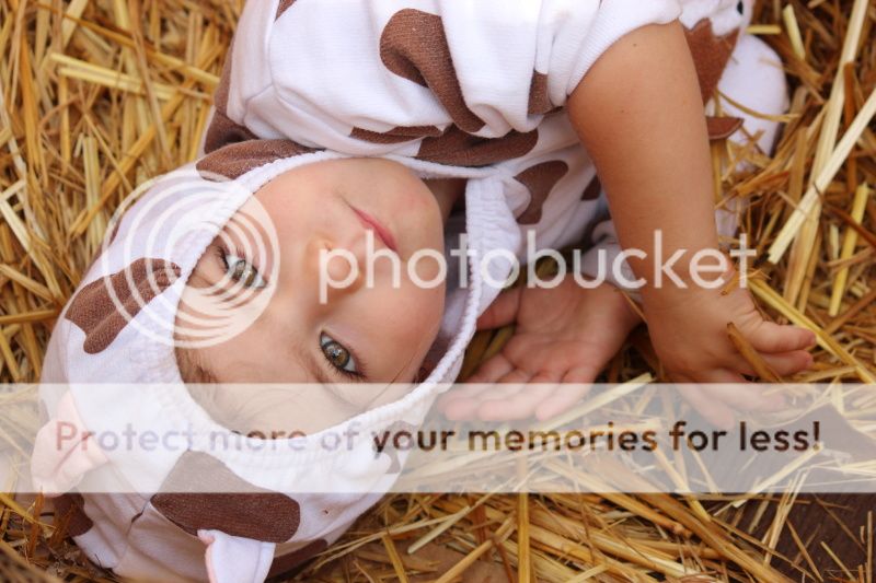  photo 2012_10_21_farm_53_zpse15fa28a.jpg